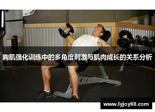 胸肌强化训练中的多角度刺激与肌肉成长的关系分析